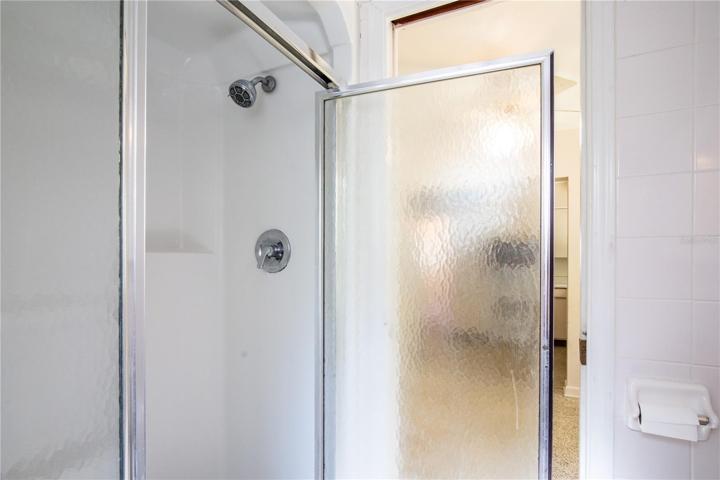 Secondary Bath Shower