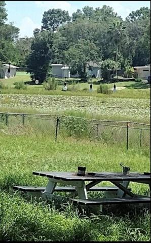 POND VIEW