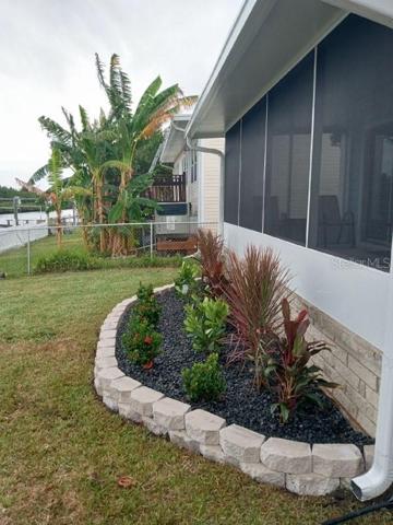 Front garden facing water