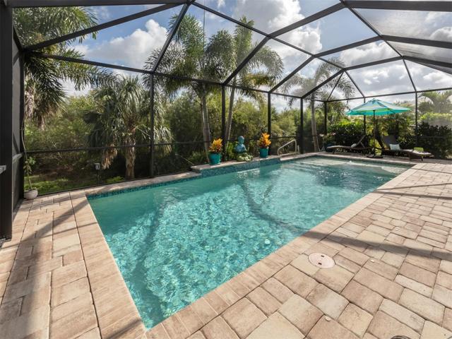 Salt Water Pool with Beach Shelf