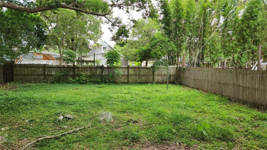 Back Yard