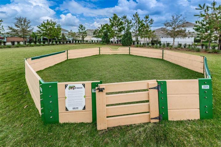 Asturia Gaga Ball