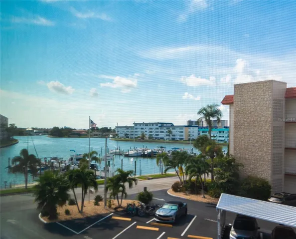 View From Florida Room.