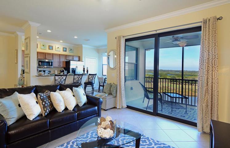 Living Room views