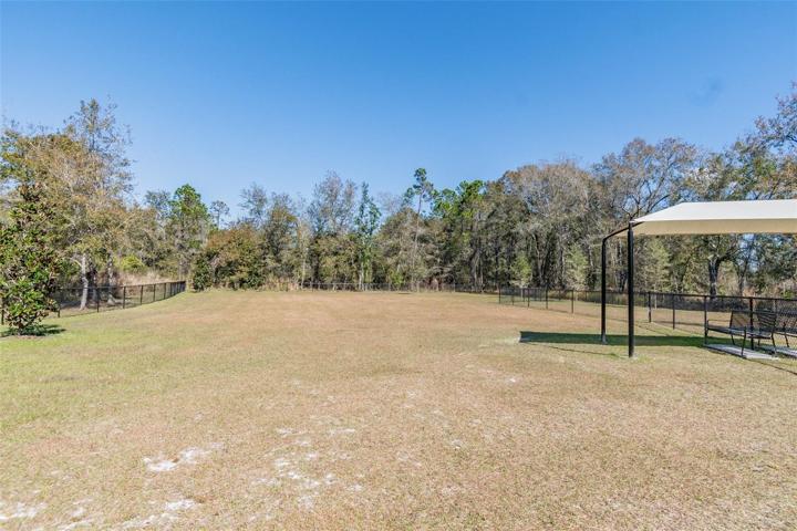 dog park
