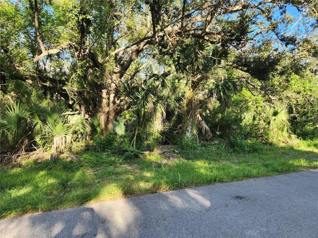 Road frontage