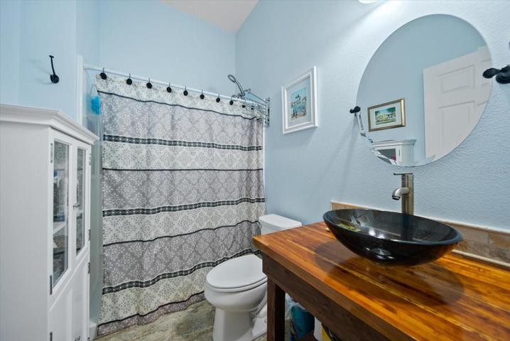 Jack & Jill Bathroom on Lower Level