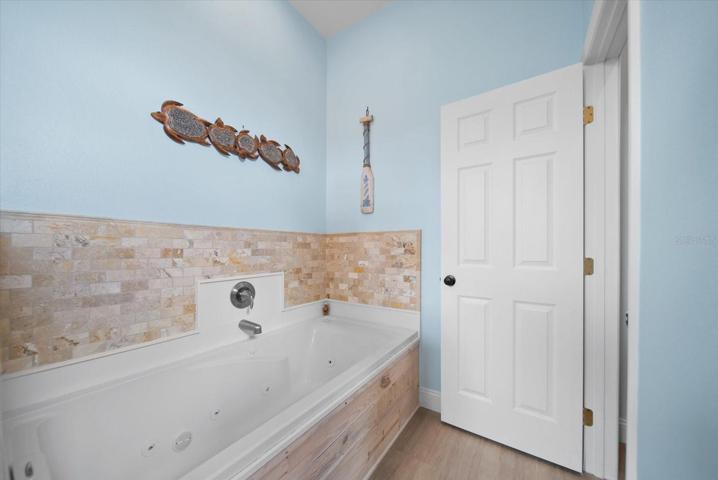 Master Jacuzzi soaking tub
