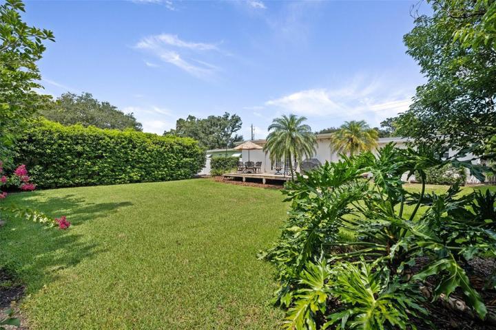 Tall bamboo and privacy landscaping