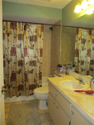 Guest Bath Tub/Shower Combo