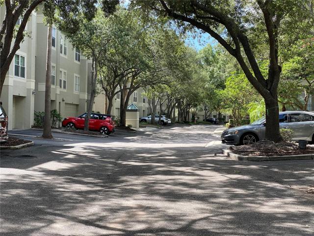 Tree lined streets