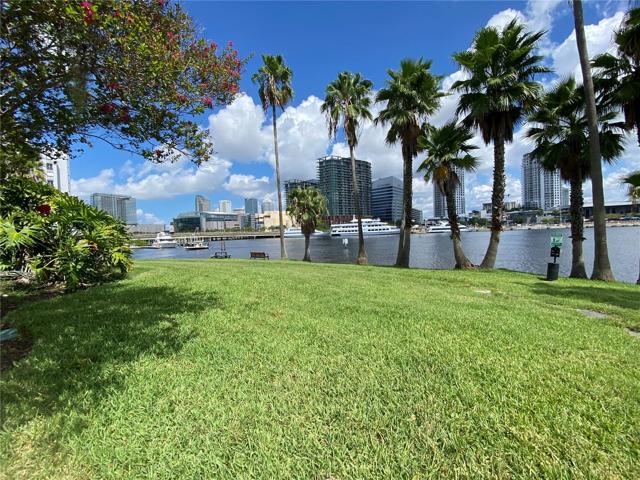 Your waterfront, dog friendly neighborhood