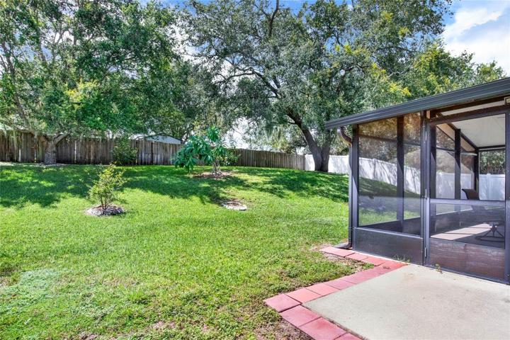Rear Yard.