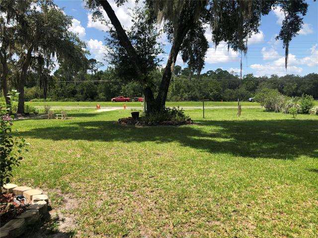 Front Yard
