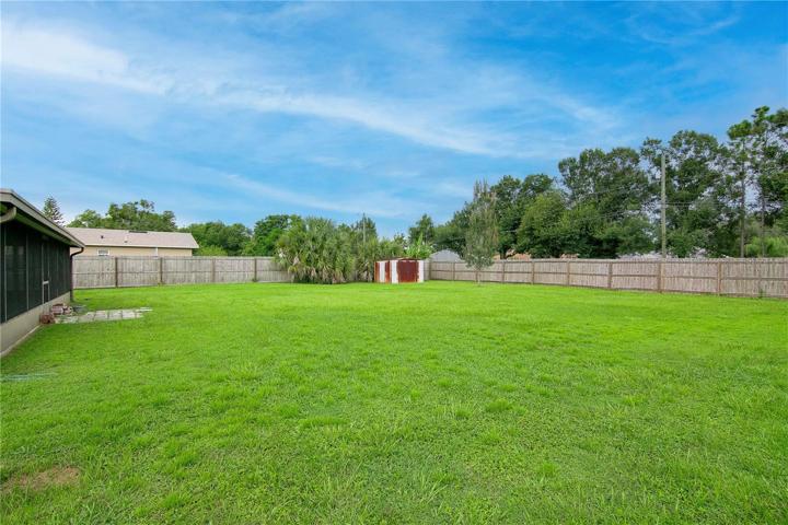 Backyard