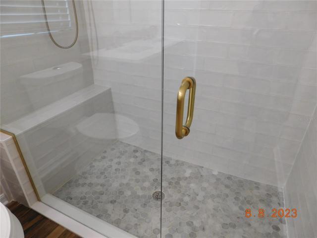 Master Shower