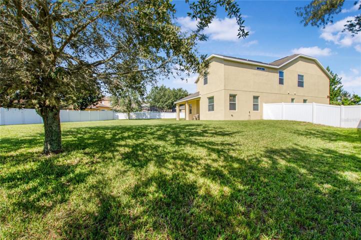Huge Fenced backyard