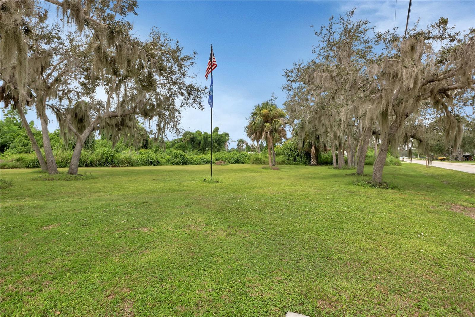 Manicured side yard