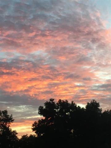 1170