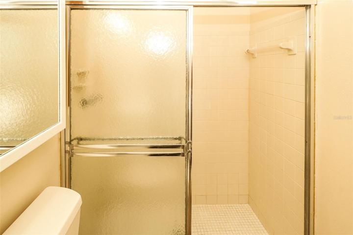 Master Bathroom shower