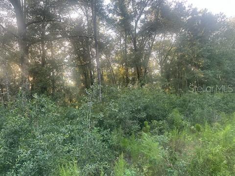 Ocala, Florida 34481, 0 , 0 ,0,Land,For Sale,156,0,OM662538