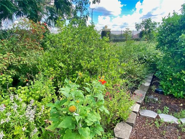 Backyard Garden