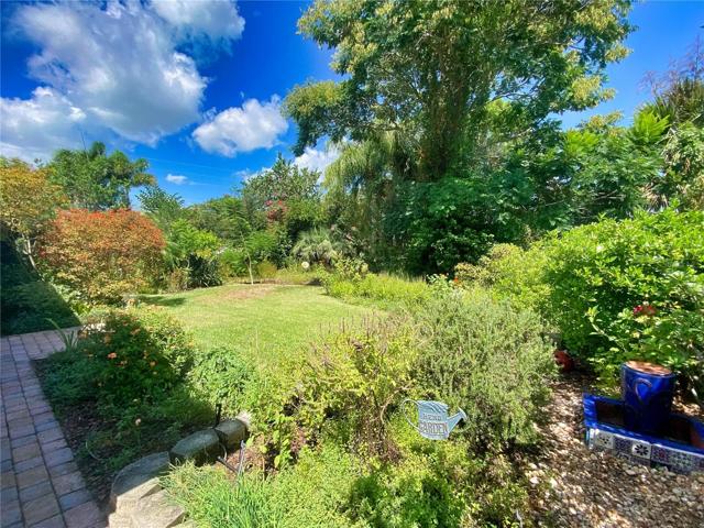 Backyard Garden