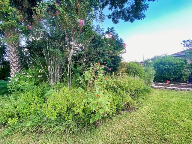 Backyard Garden Area