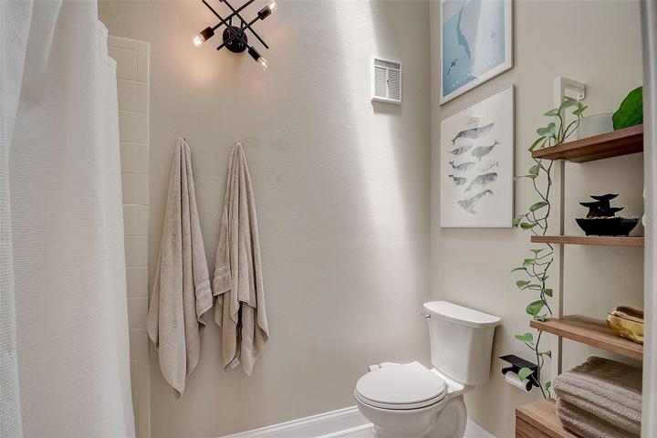 Master Bathroom - Toilet and Shower