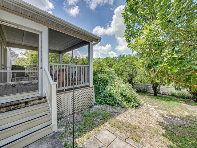 Privacy fenced backyard with mature fruit trees Avocado & Mango