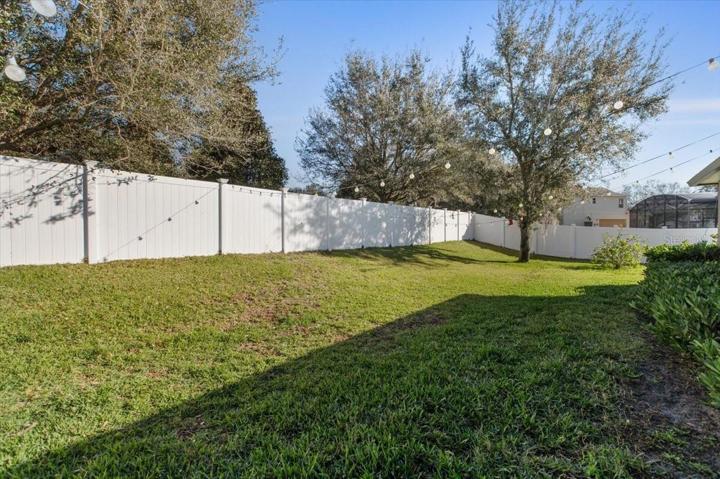 Rear Yard