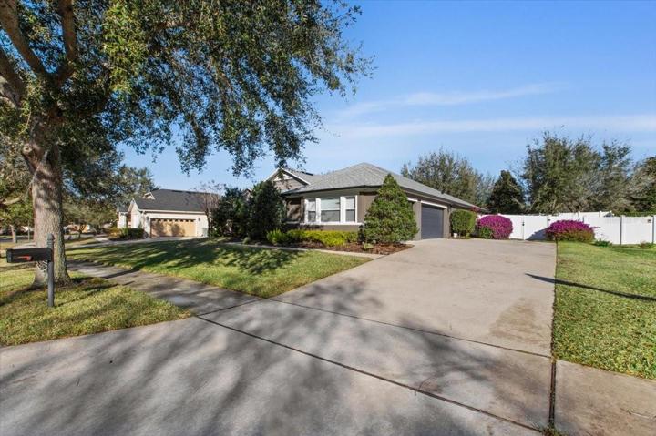 Driveway