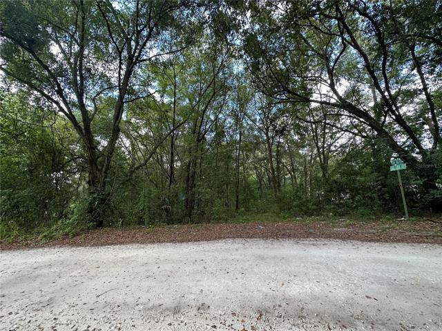 Front of the property