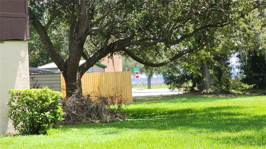 View of lake in the distance from yard