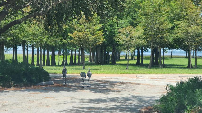 Lakefront park public parking area