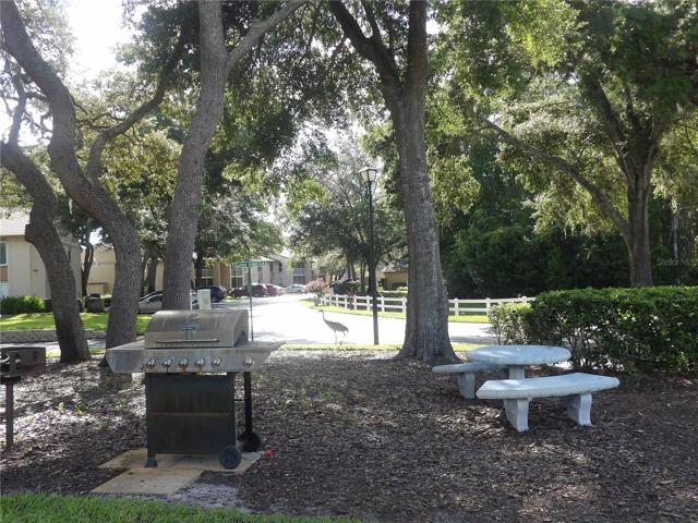BBQ area