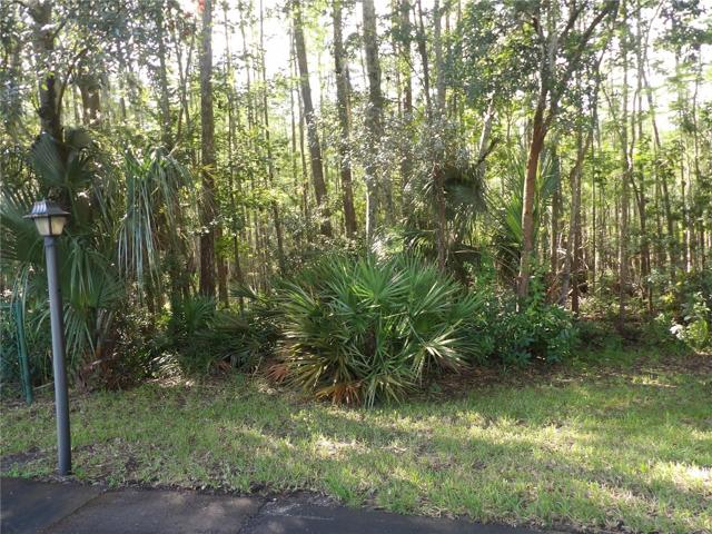 Wooded area outside front walkway