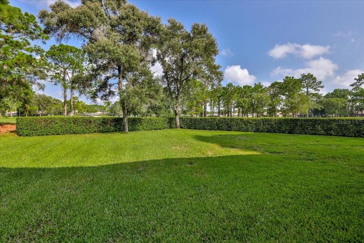 Rear Yard