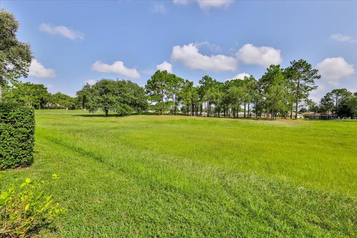Rear Yard