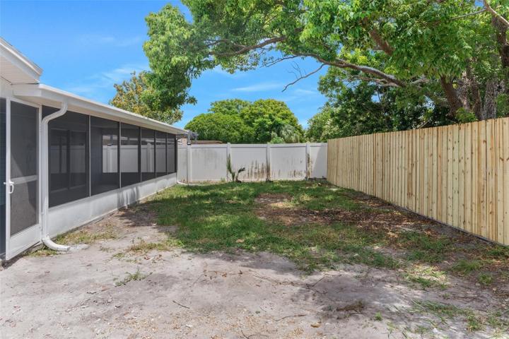 Back yard