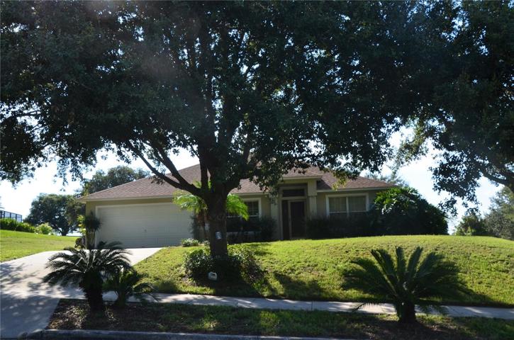 Oak Shaded Oversized Lot