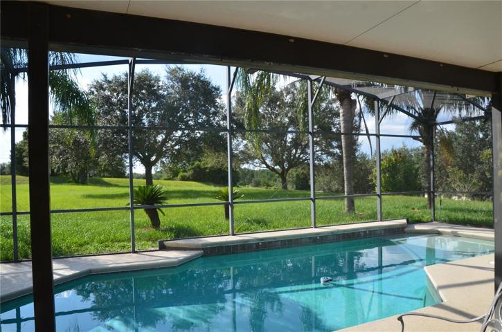 Enjoy Nature With This View Of The Back Yard  From The Covered Lanai/Porch