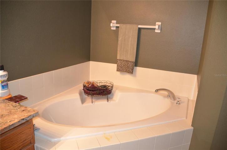Garden Tub In Primary Bathroom