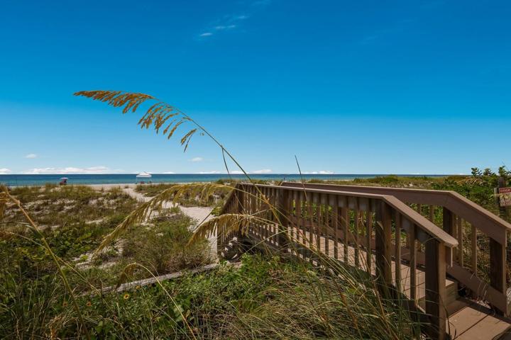 Walk Out to The Beach