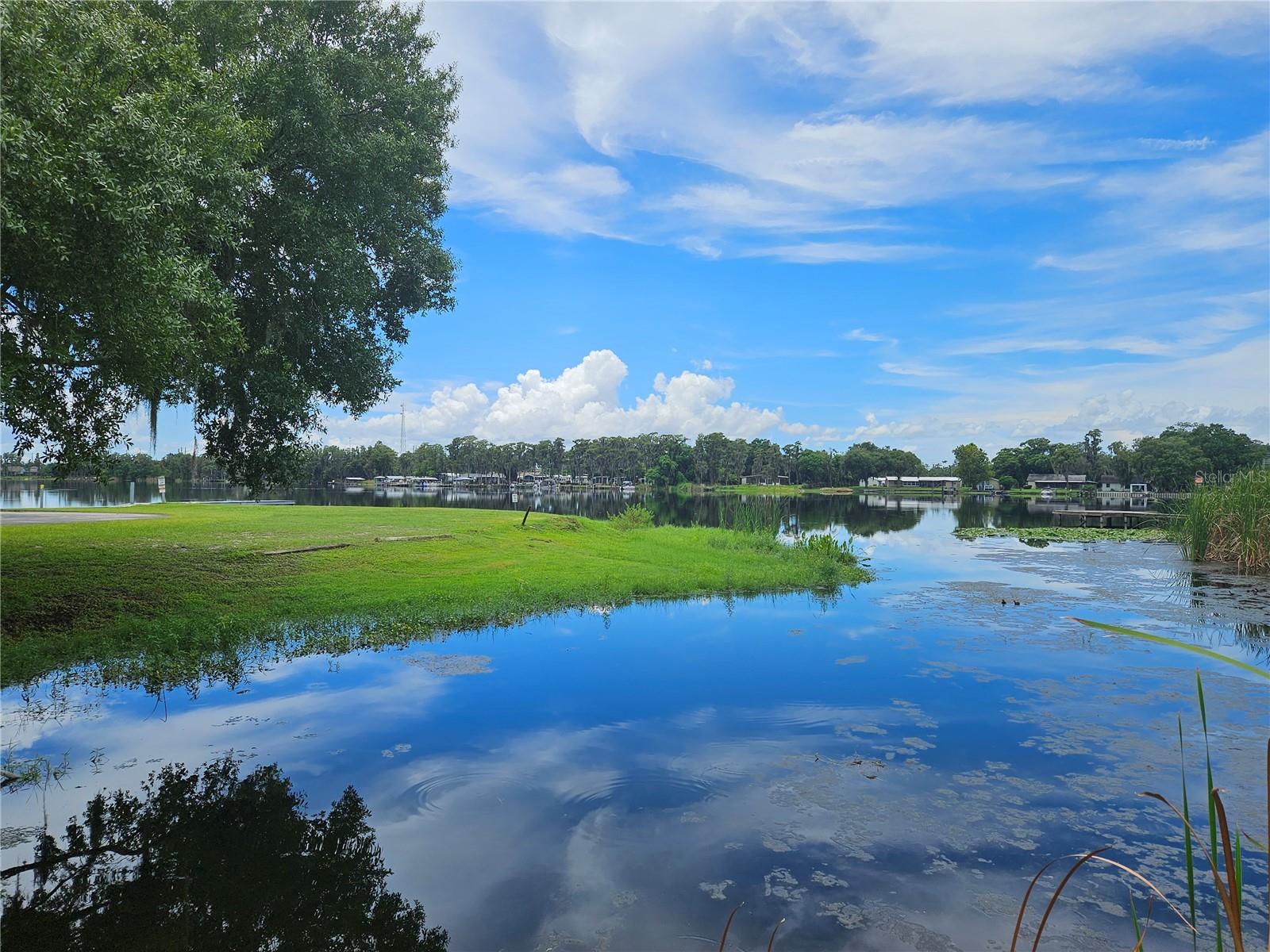 3016 Lake Saxon Drive, Land O Lakes, Florida 34639, 3 Bedrooms Bedrooms, ,3 BathroomsBathrooms,Residential,For Sale,LAKE SAXON,U8210205