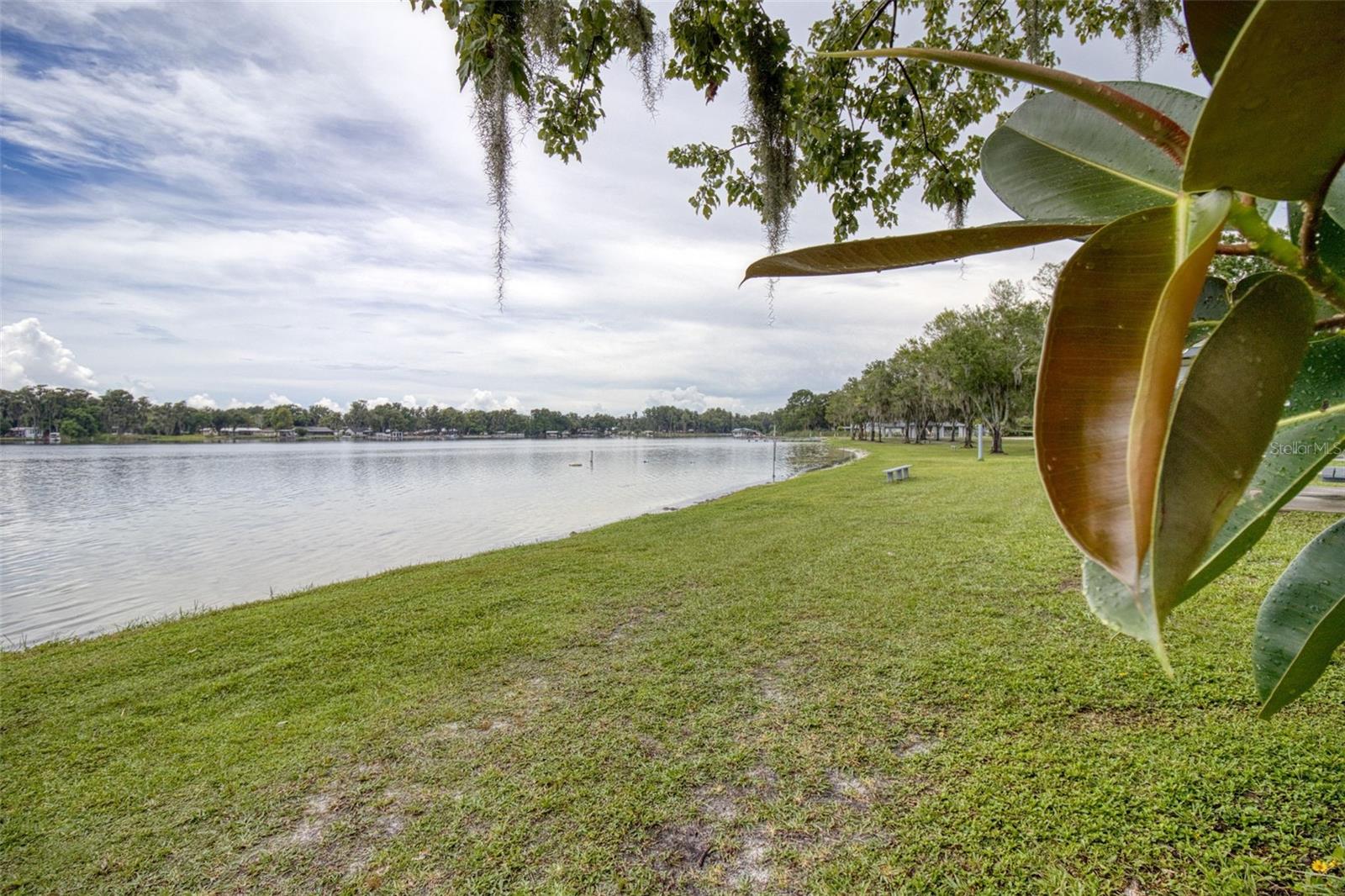3016 Lake Saxon Drive, Land O Lakes, Florida 34639, 3 Bedrooms Bedrooms, ,3 BathroomsBathrooms,Residential,For Sale,LAKE SAXON,U8210205