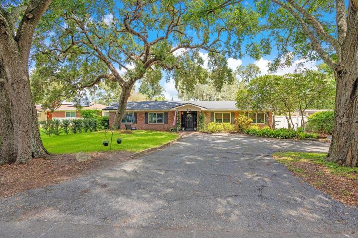 Charming canopy of oaks