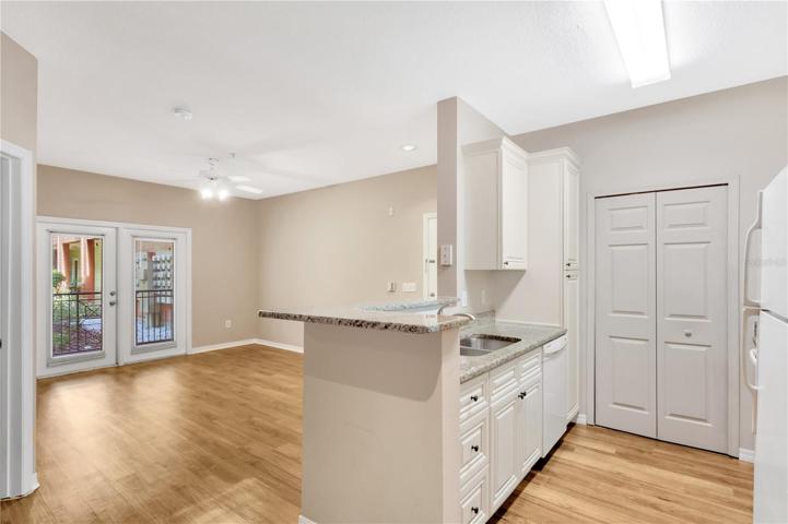 KItchen/Living Combo