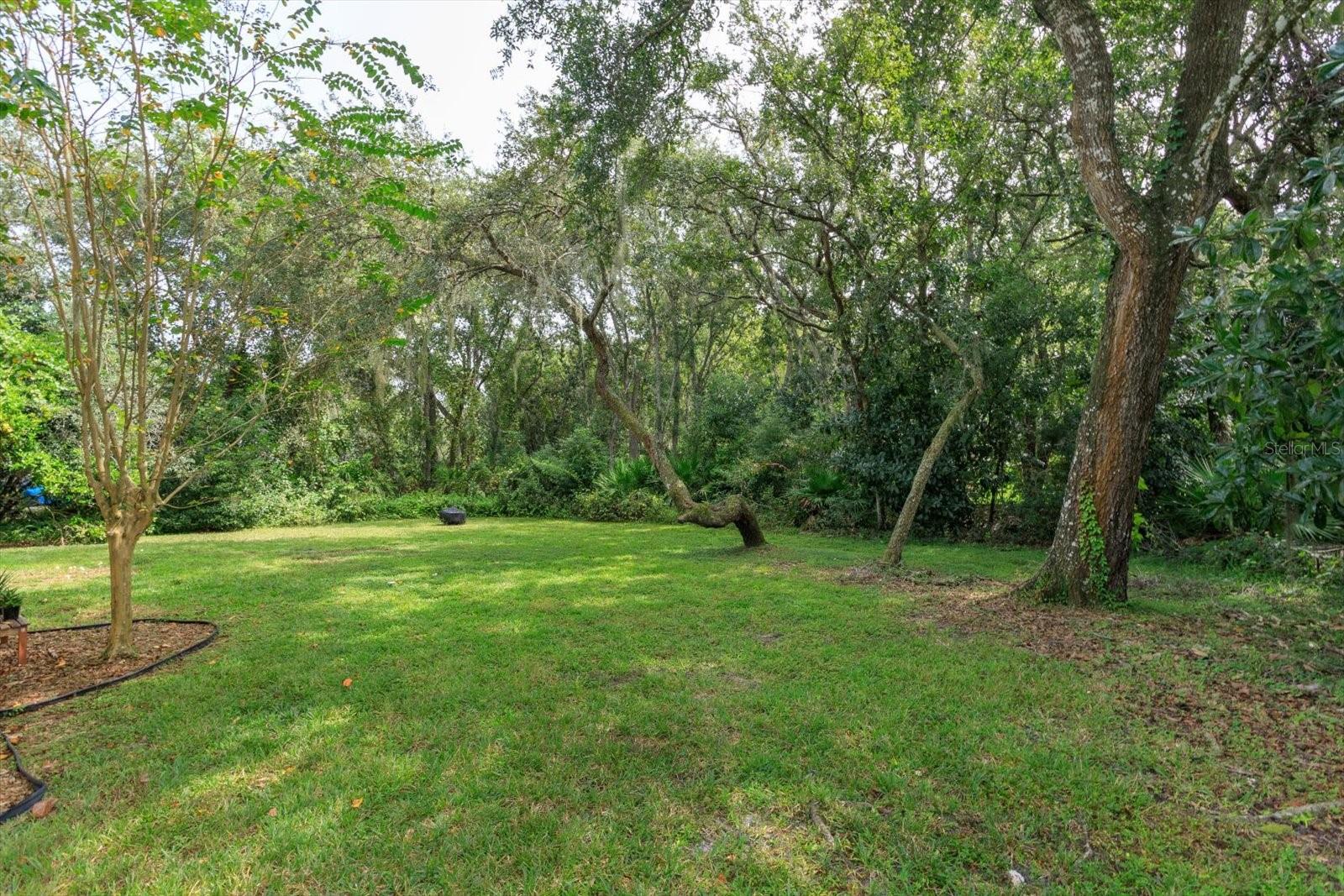 Backyard offers privacy landscape and mature trees