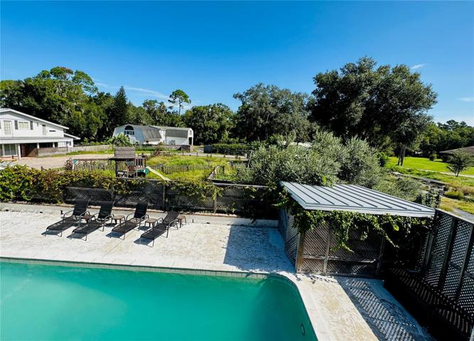 Pool Looking Toward Grow Area